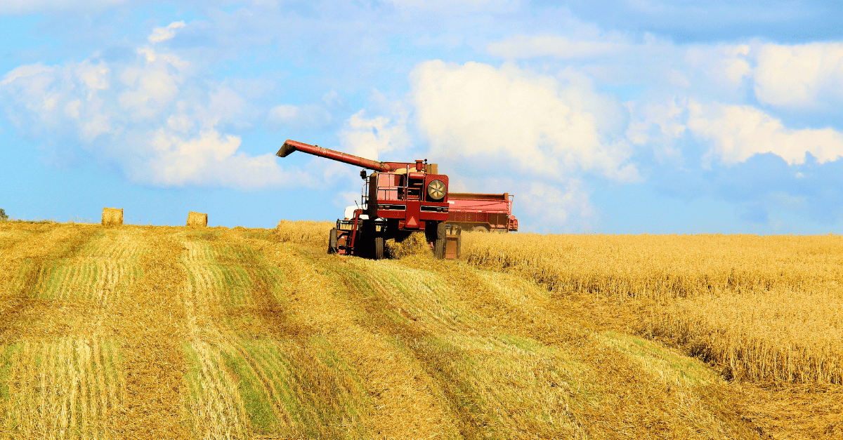 Featured image for “Three Types of Food Production Systems”