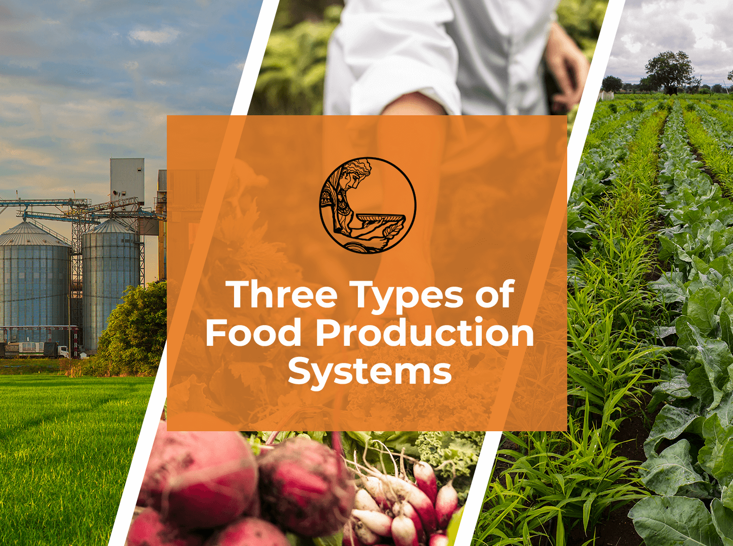 Featured image for “Three Types of Food Production Systems”