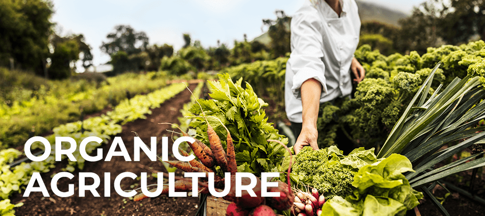 Food Production Systems - Organic Agriculture