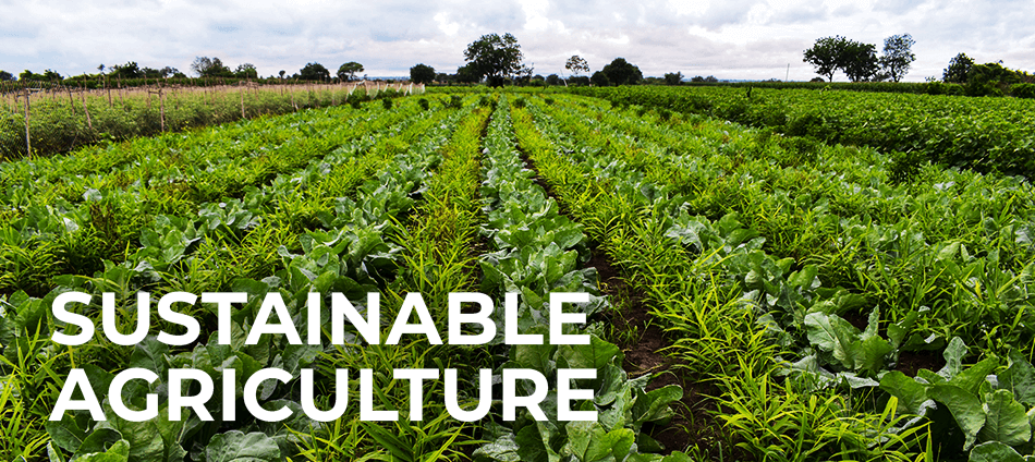 Food Production Systems - Sustainable Agriculture